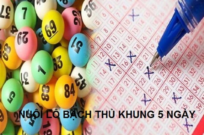 Nuôi lô khung là phương pháp được đánh giá khá an toàn hiện nay Có rất nhiều cách nuôi lô khung đang được áp dụng hiện nay